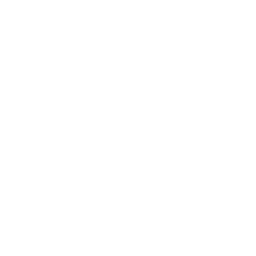 Danorama logo